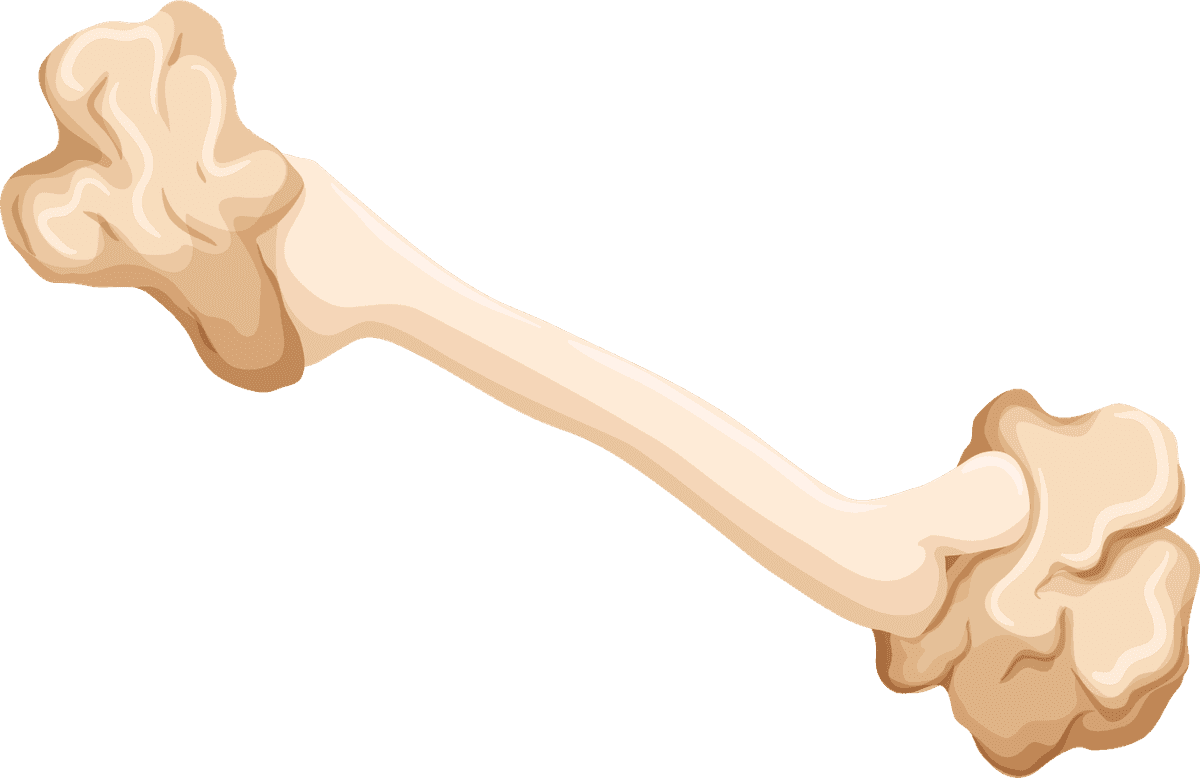 realistic dog bone illustration completed in a playful style trash isolated white background