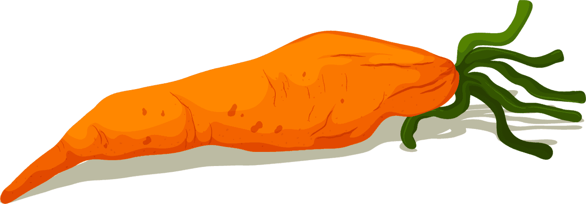 carrot isolated white background showcasing vibrant color and natural texture for healthy eating