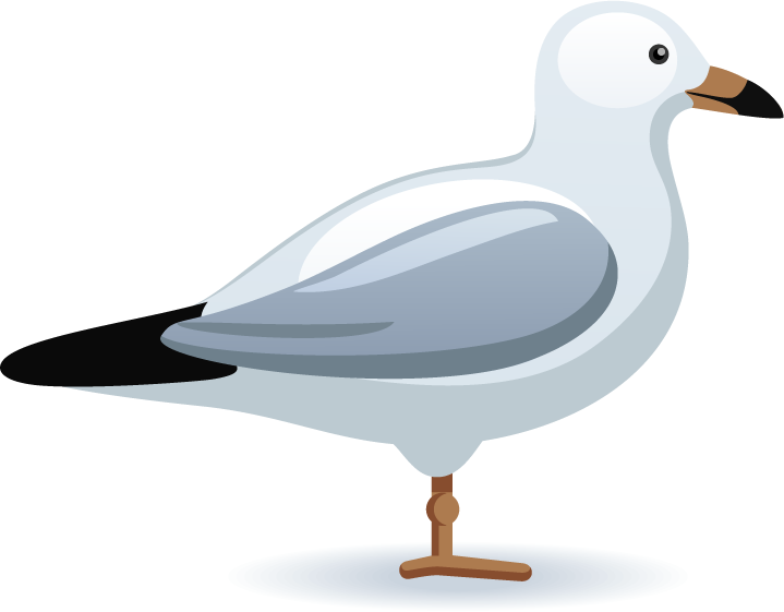 travel and food icons collections featuring birds and culinary delights for adventures