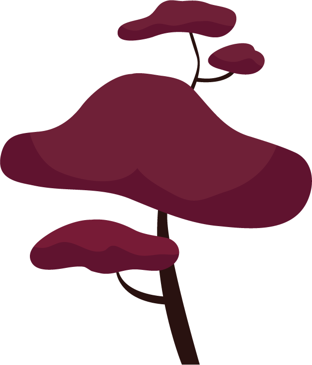 tree icons collection colored classical style featuring vibrant shapes for nature-themed projects