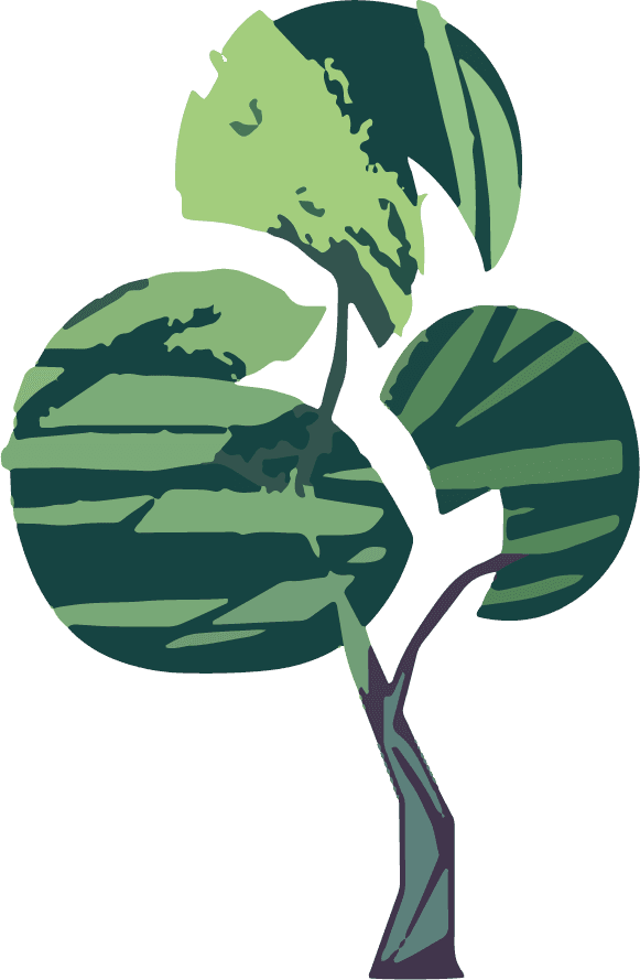 tree plant illustration icon