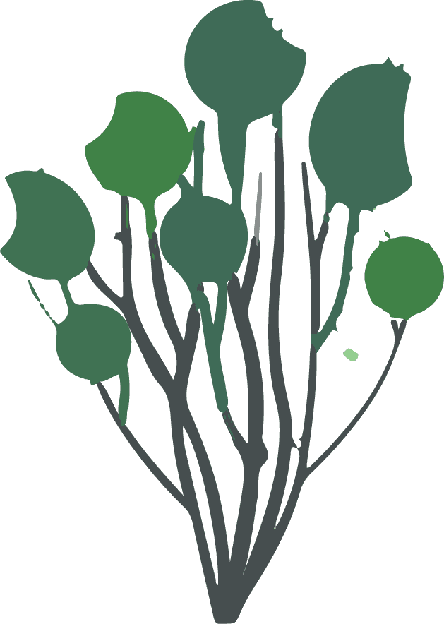 tree plant illustration icon