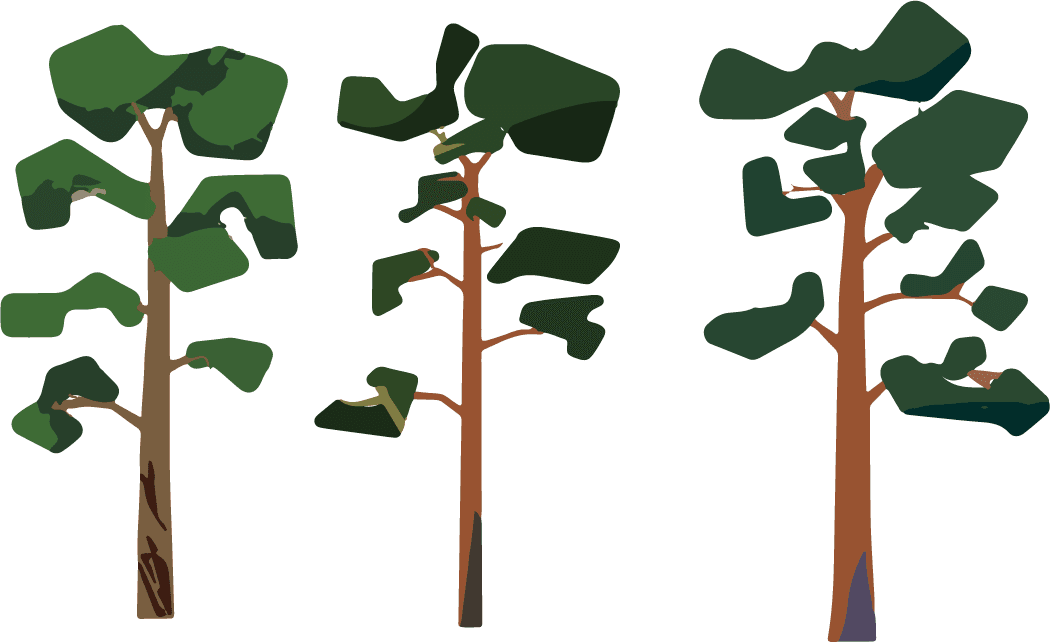 tree plant illustration icon