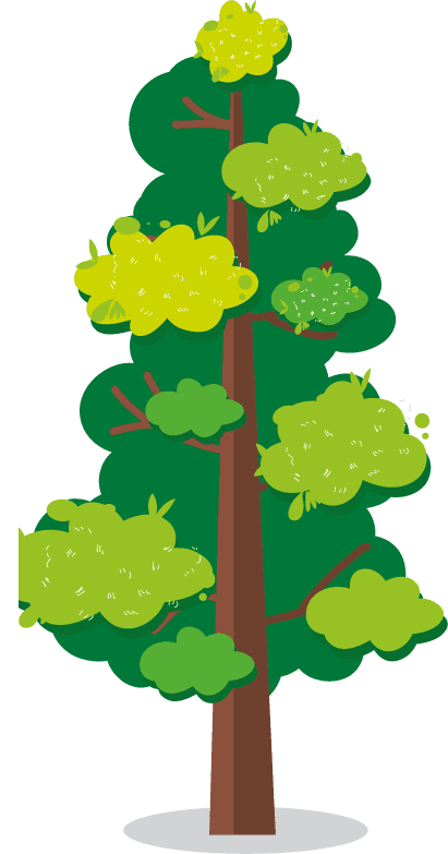 tree shapes icons colorful classical sketch