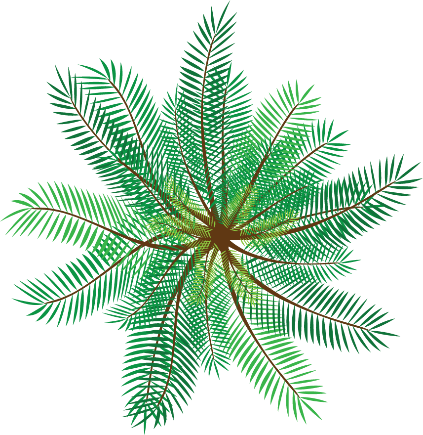 tree with top view design showcasing lush greenery and intricate foliage for nature enthusiasts