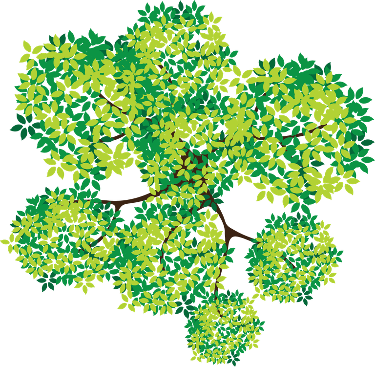 tree with top view design showcasing vibrant foliage and detailed leaf patterns for nature projects