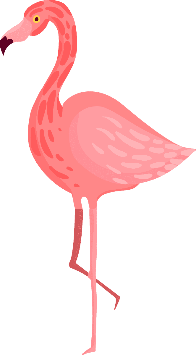 tropical birds and leaves pictograms for summer-themed projects and nature illustrations