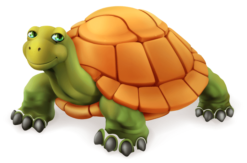 turtle funny sea animals and fishes cartoon vector
