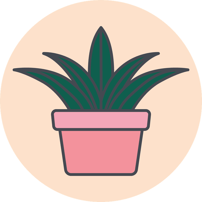 twenty five cactus icons vector
