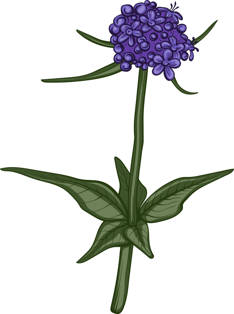 valerian detailed essential oil herb pack
