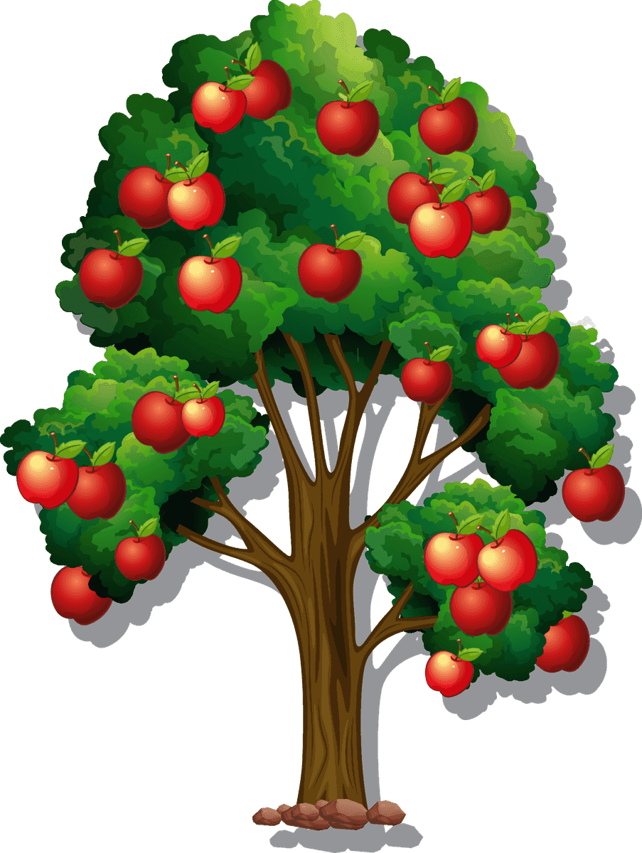 variety apple trees transparent background for educational use or decoration