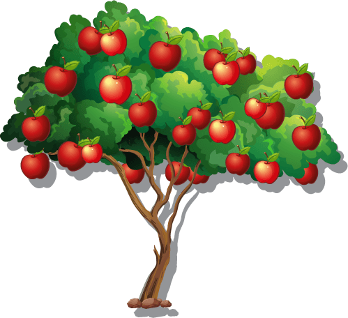 variety apple trees transparent background
