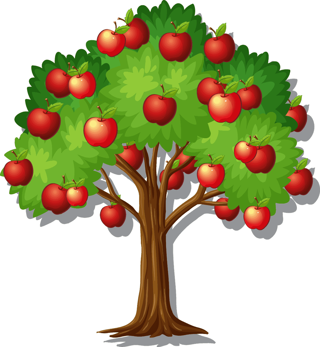 variety apple trees transparent background for educational materials and illustrations