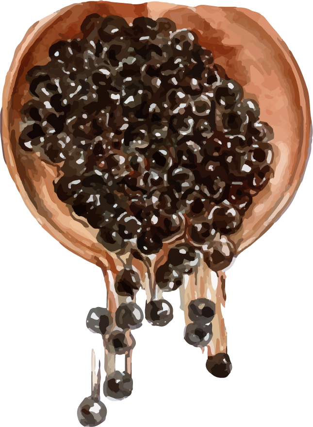 various isolated watercolor bubble tea with delicious tapioca pearls for food lovers