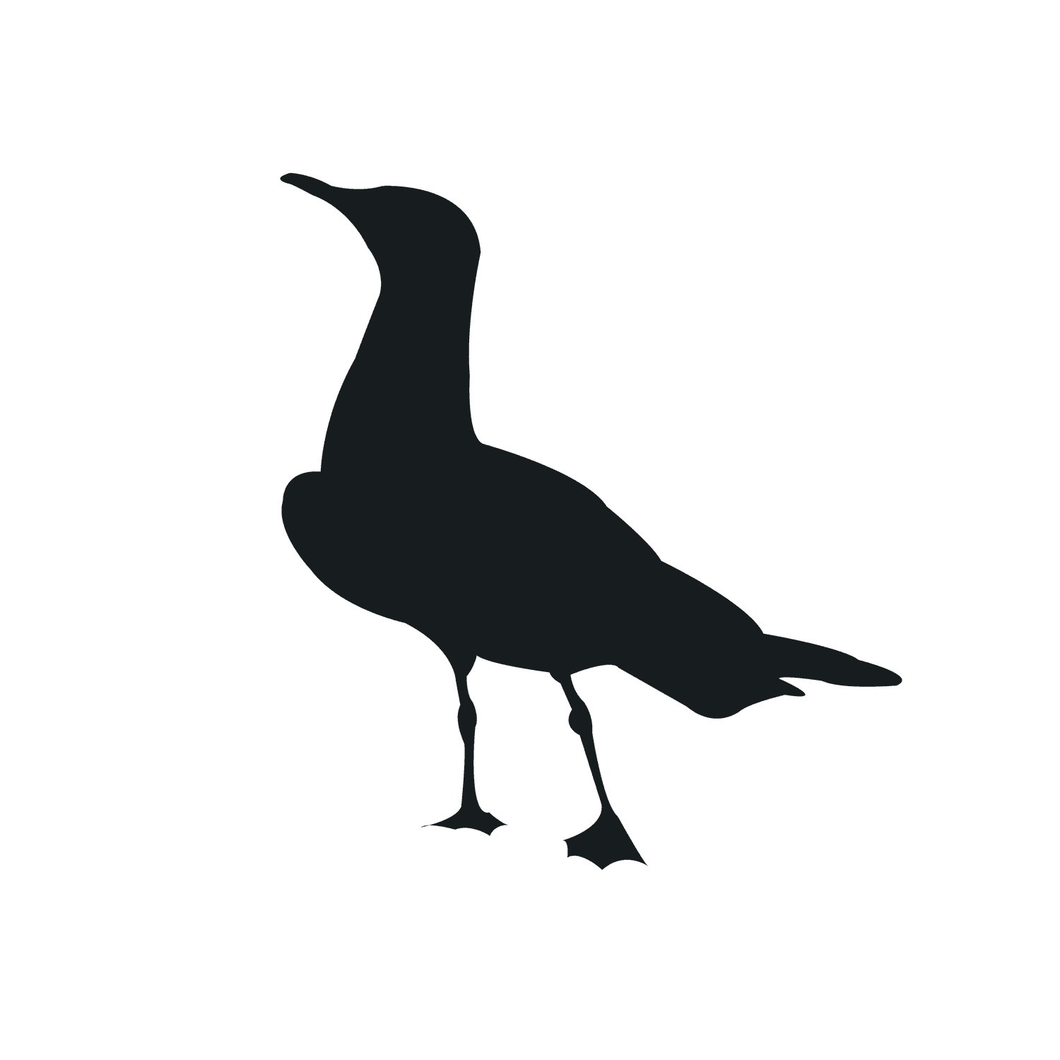 various type bird silhouette clipart