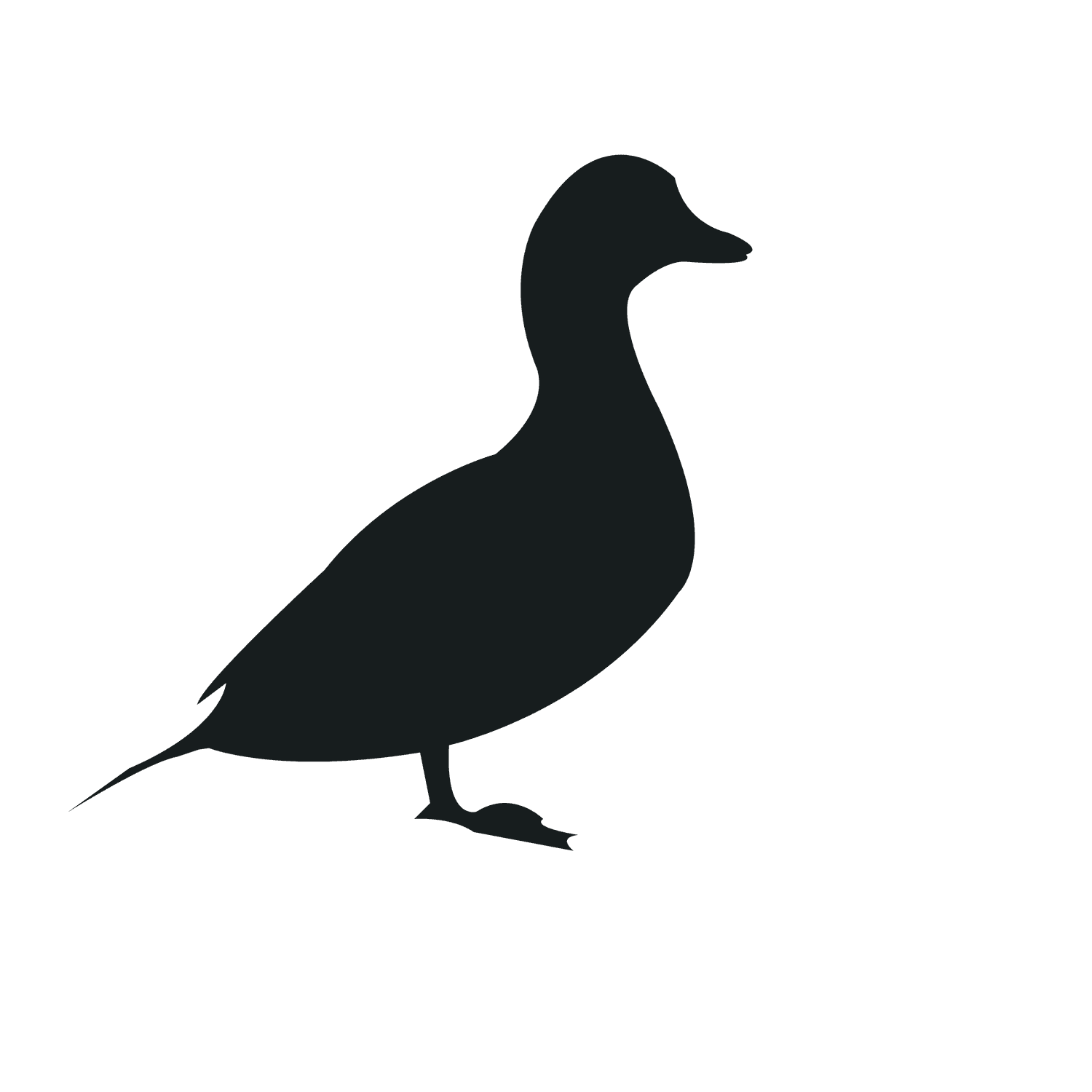 various type bird silhouette clipart