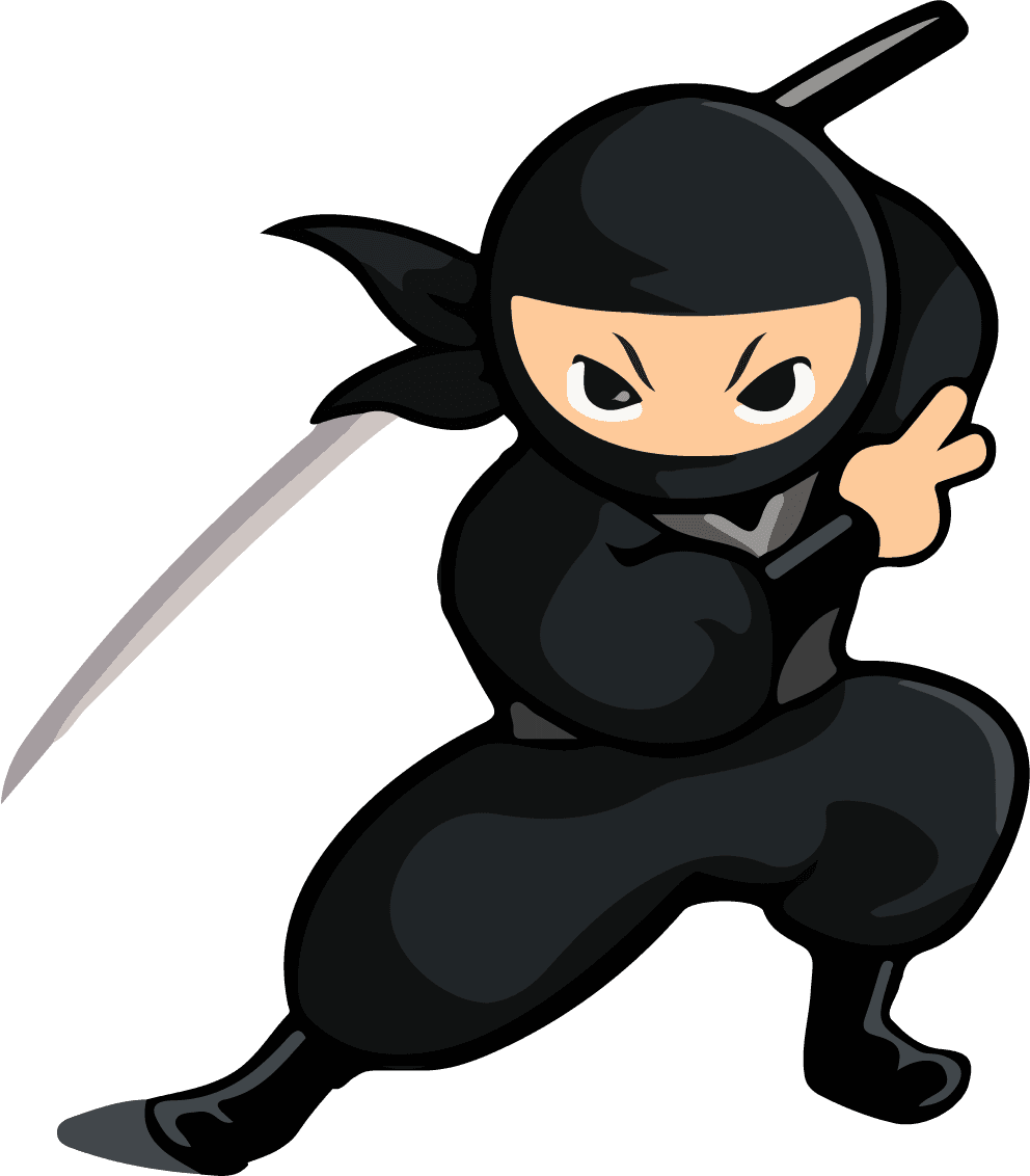 black ninja sets wit different