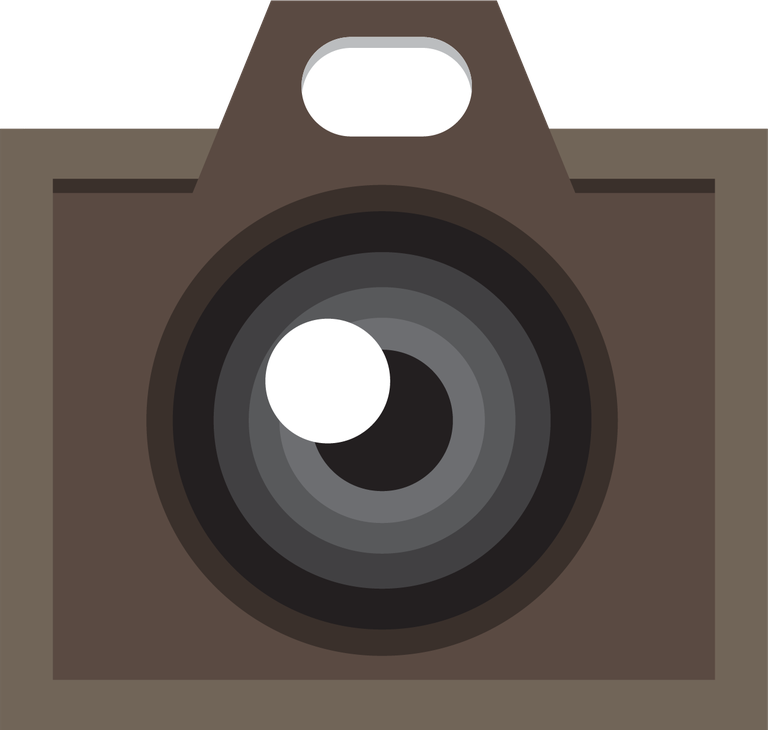 camera and video element