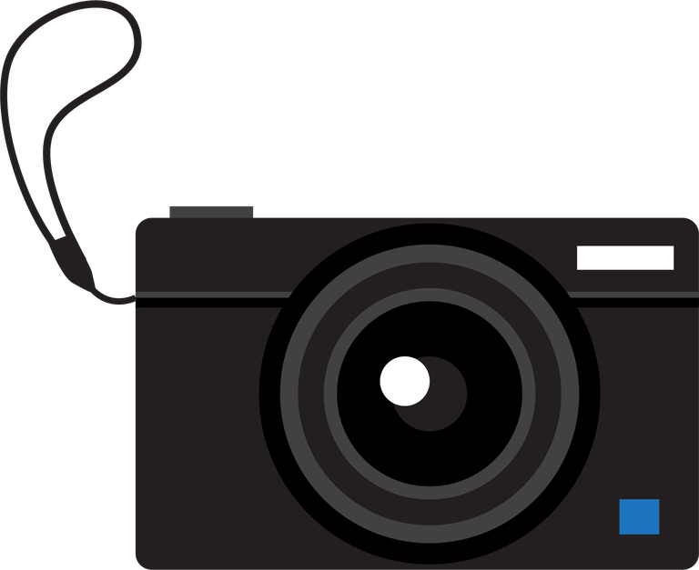 camera and video element