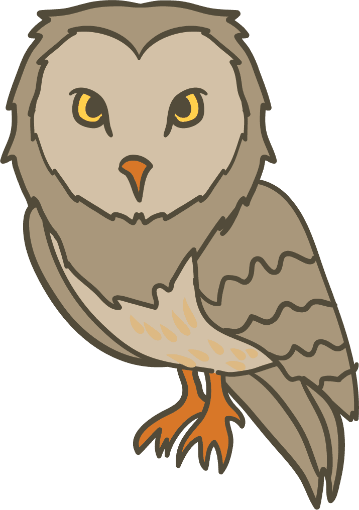 simple cartoon styled owl with vibrant colors and friendly expression for children's decor