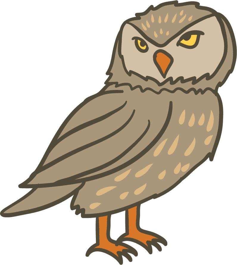 simple cartoon styled owl illustration for children's books and cute decoration