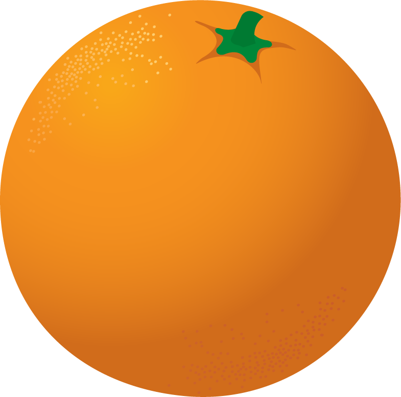 citrus fruits set featuring vibrant orange, lemon, and lime illustrations for fresh designs