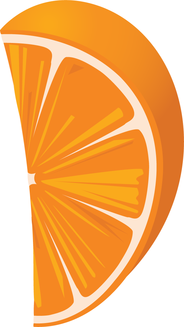 citrus fruits set featuring vibrant orange slices and refreshing tropical elements for summer themes