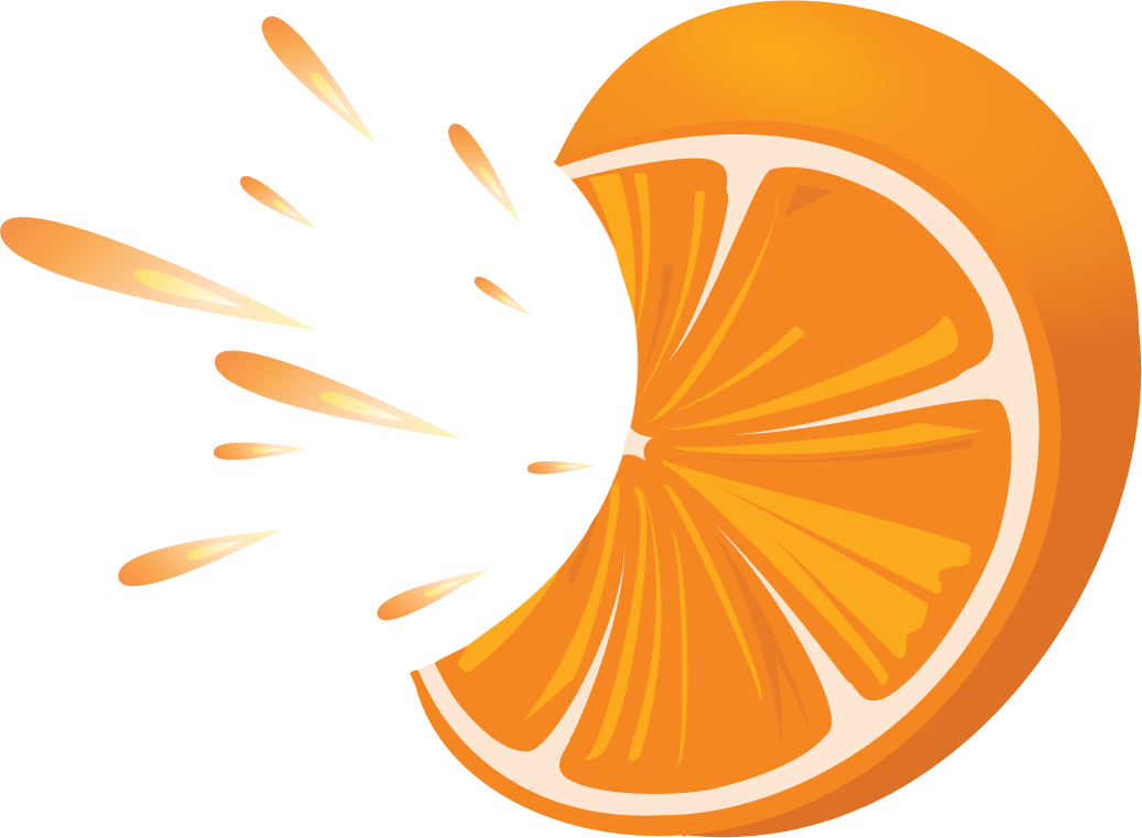 citrus fruits set featuring vibrant oranges and lemons for fresh summer themes