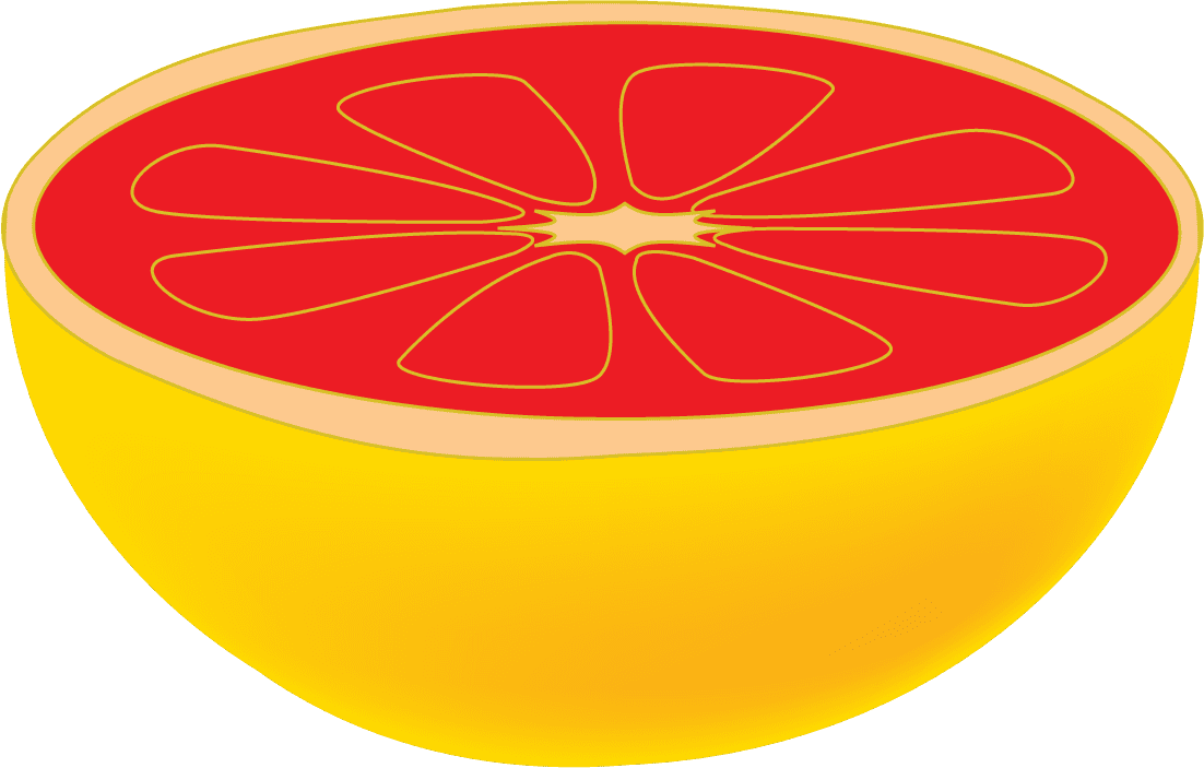 bright citrus fruits vectors showcasing vibrant grapefruit halves for fresh beverage ideas