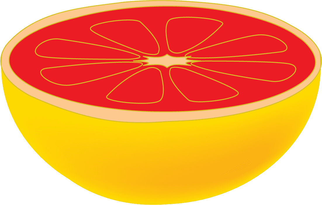 citrus fruits vectors