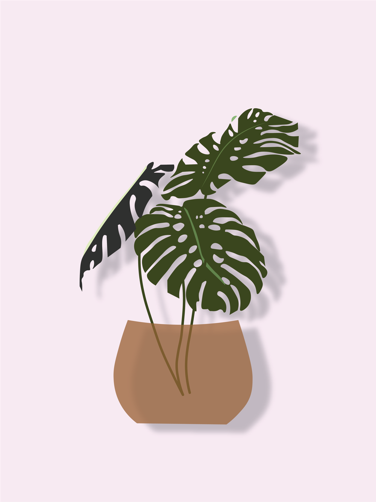 geometric flowers and vase design for modern home decor with botanical elements