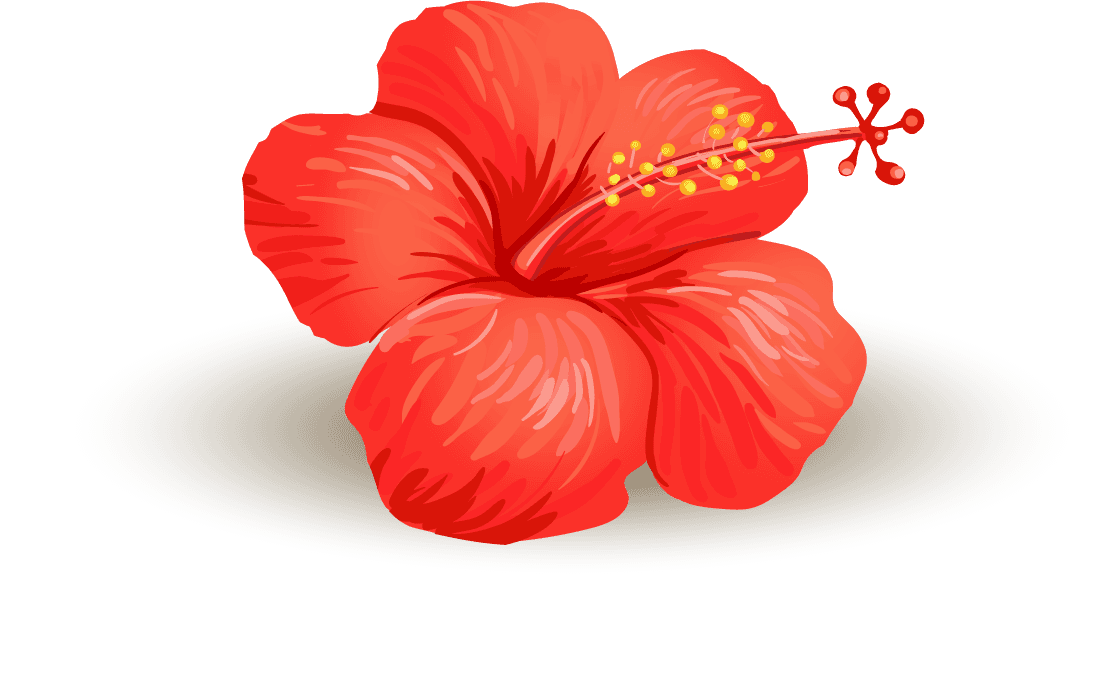 illustration realistic style branch tropical palm tree with hibiscus flowers