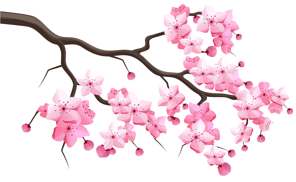 japan sakura cherry branch with blooming flowers constructor with blooming cherry branch