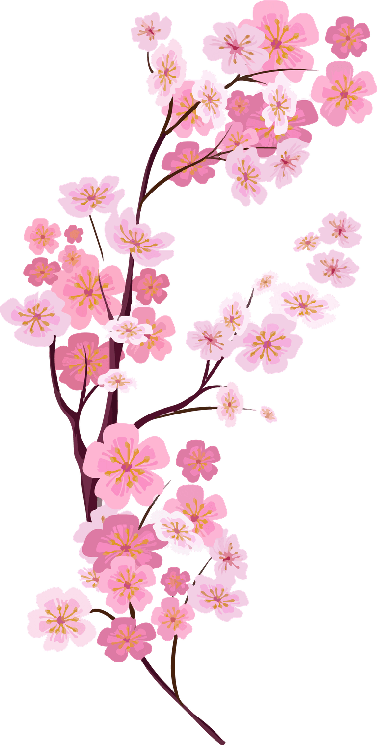 painted pink cherry blossoms flower