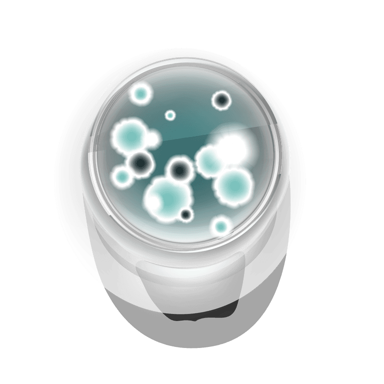 petri dish with molds bacterial colonies top view isolated background