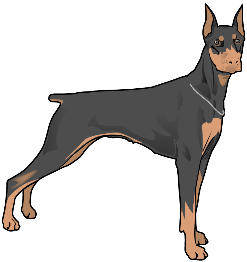 portal pet dogs for interactive fun with your adorable doberman companion