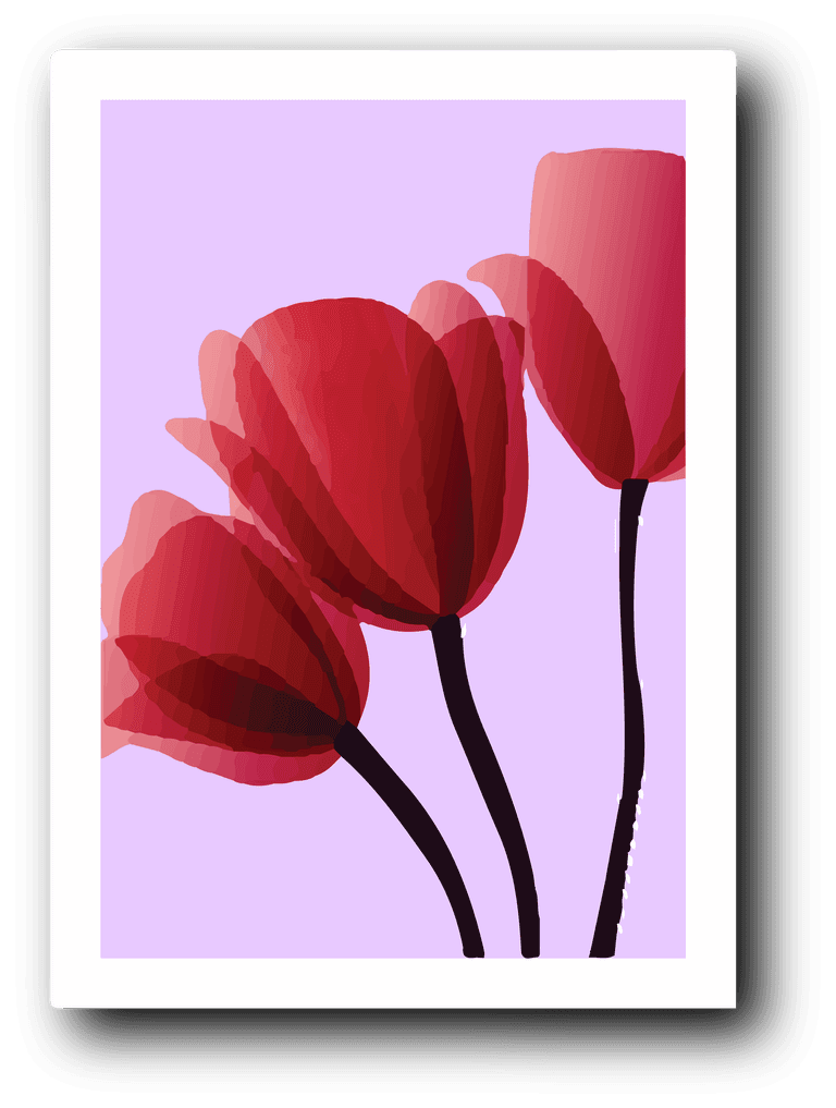 red tulips abstract background minimal