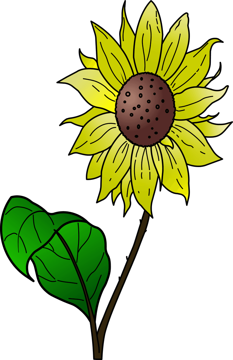 sunflower coloring pages for kids