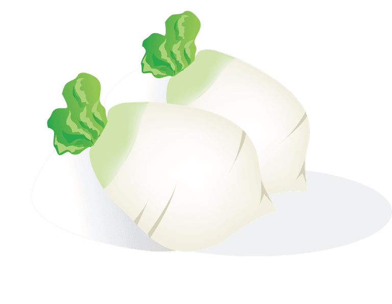 vegetables food graphics dessert illustration