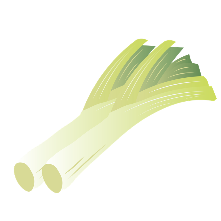 simple colorful vegetables illustration of fresh leeks for cooking and healthy eating