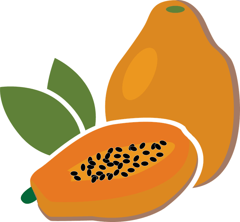 very colorful such as papaya guava cashew rambutan banana fruits showy to exemplify any