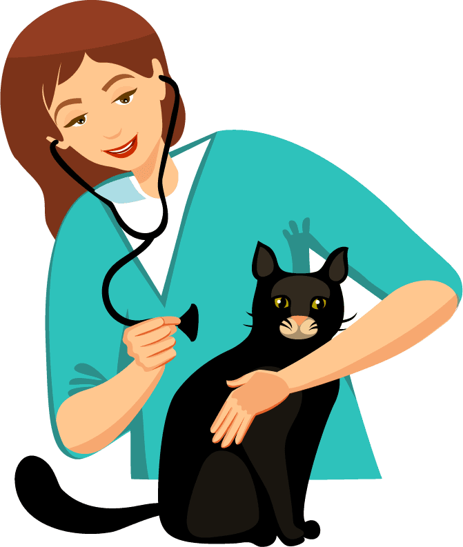 Veterinary doctor and animals vet clinic flat round icons
