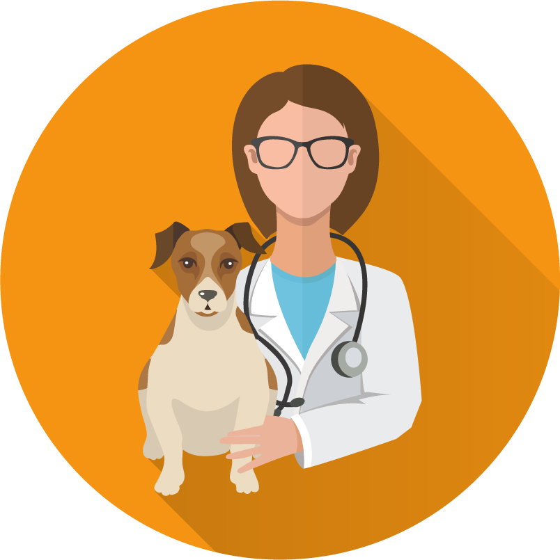 Veterinary doctor and animals vet clinic flat round icons