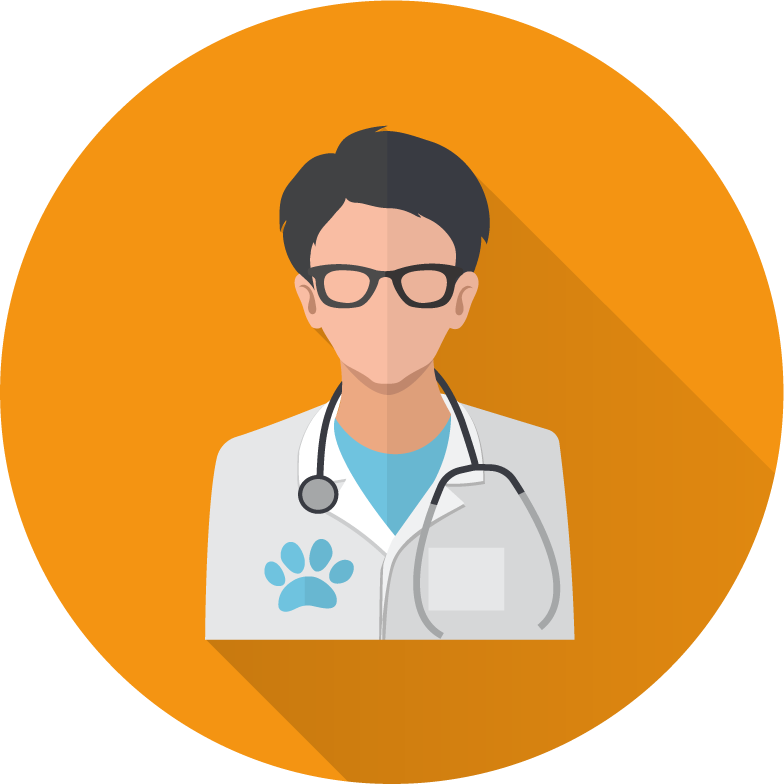 Veterinary doctor and animals vet clinic flat round icons