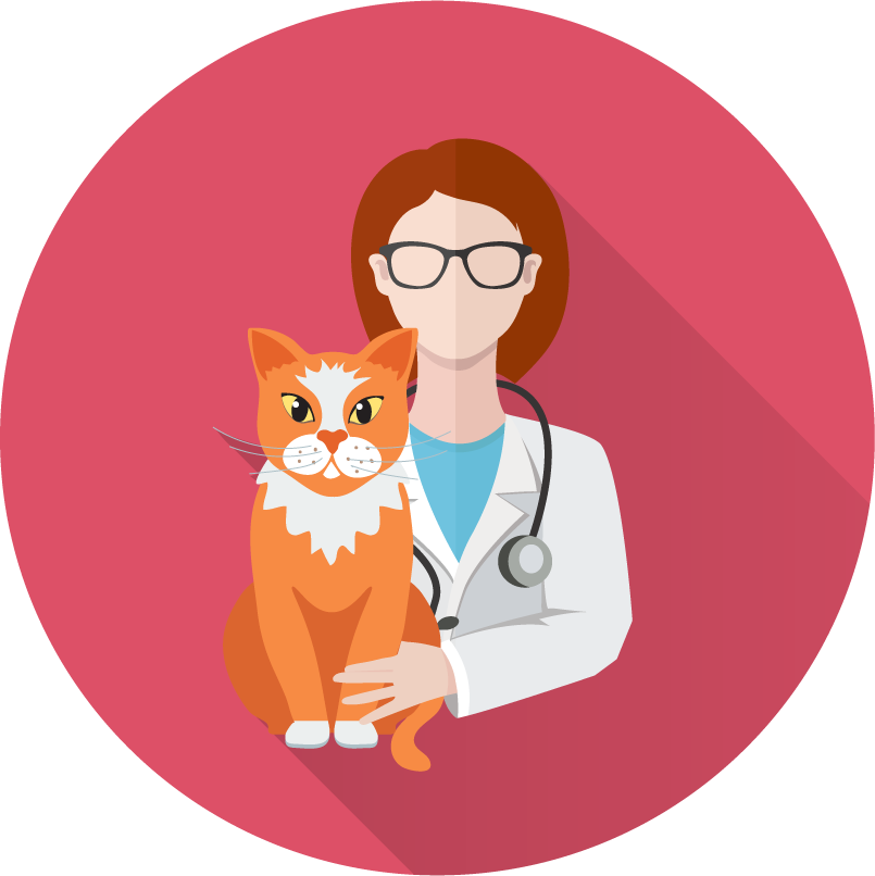 Veterinary doctor and animals vet clinic flat round icons