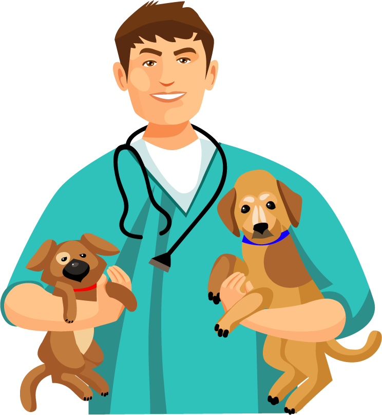 Veterinary doctor and animals vet clinic flat round icons