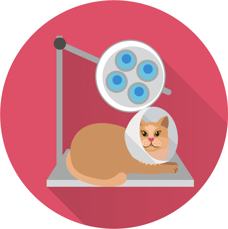 Veterinary doctor and animals vet clinic flat round icons