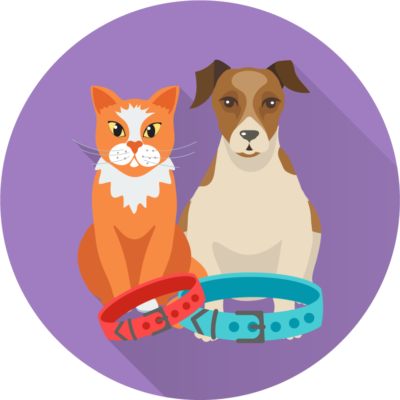 Veterinary doctor and animals vet clinic flat round icons