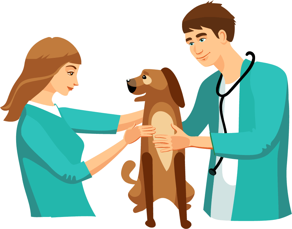 Veterinary doctor and animals vet clinic flat round icons