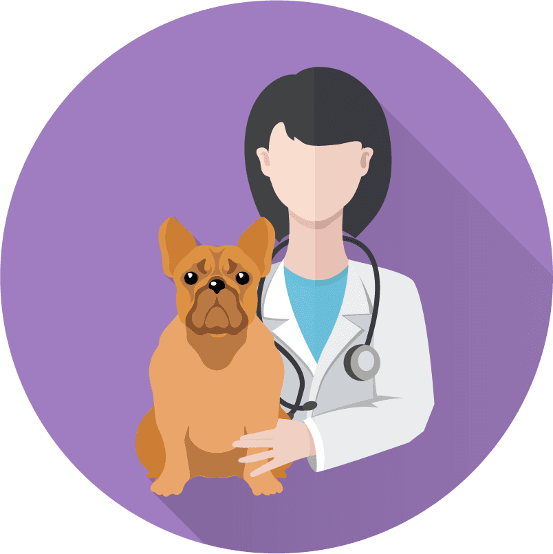 Veterinary doctor and animals vet clinic flat round icons